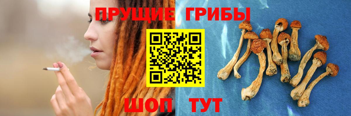 Галлюциногенные грибы прущие грибы  хочу наркоту  Псилоцибиновые грибы MAGIC MUSHROOMS  Павлово  Вход с VPN 